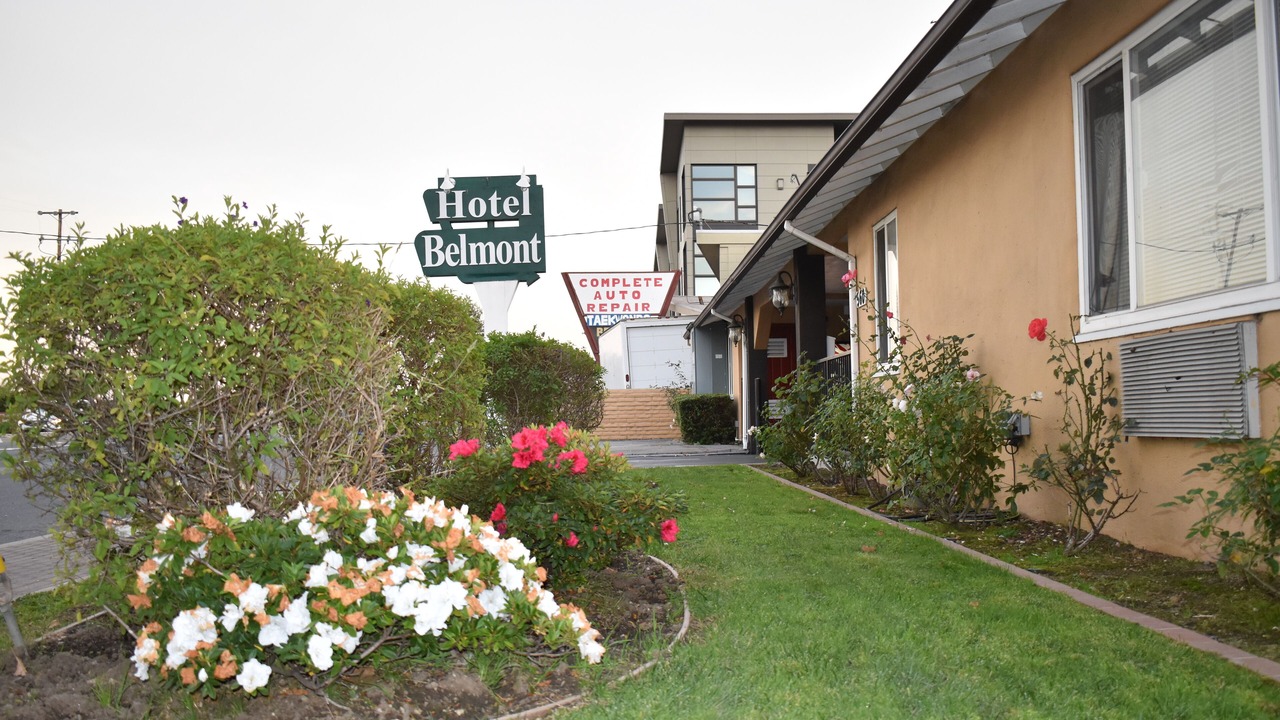Photo of Outdoor in Belmont