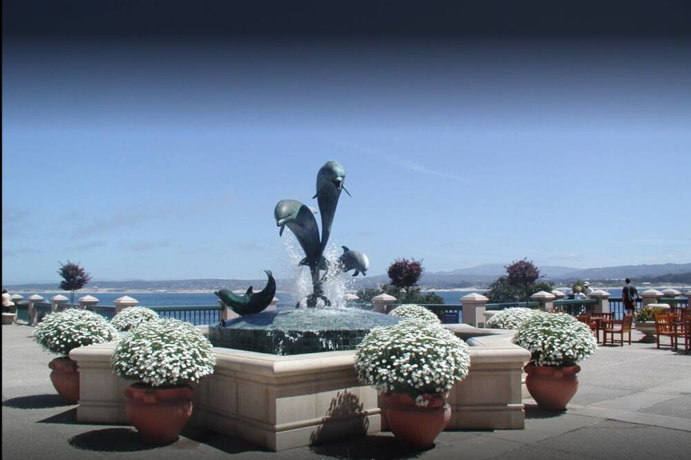 Photo of Others in Marina