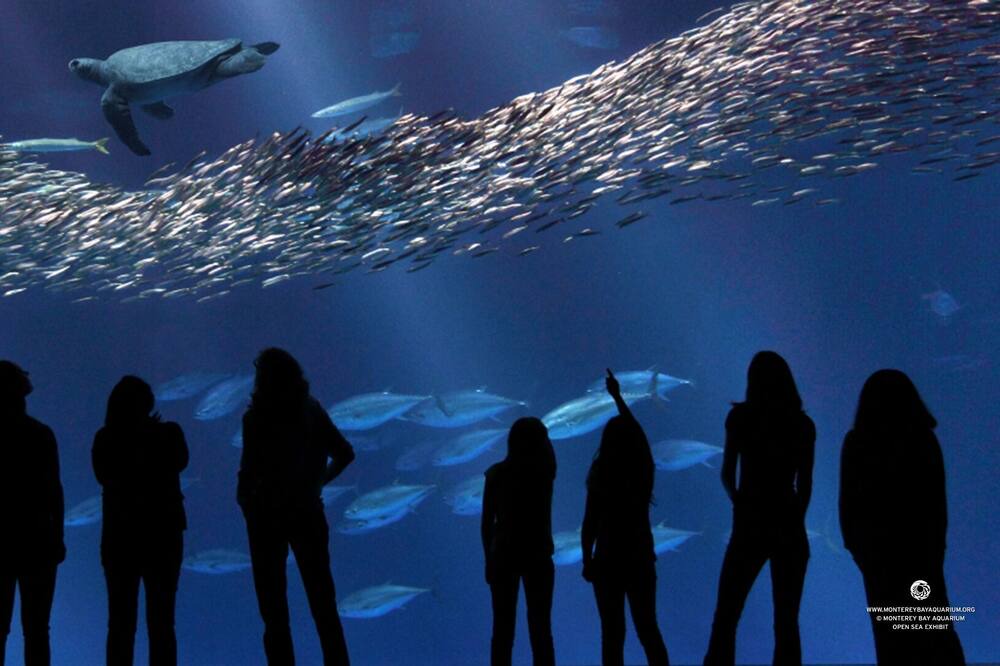 Photo of Others in Downtown Monterey