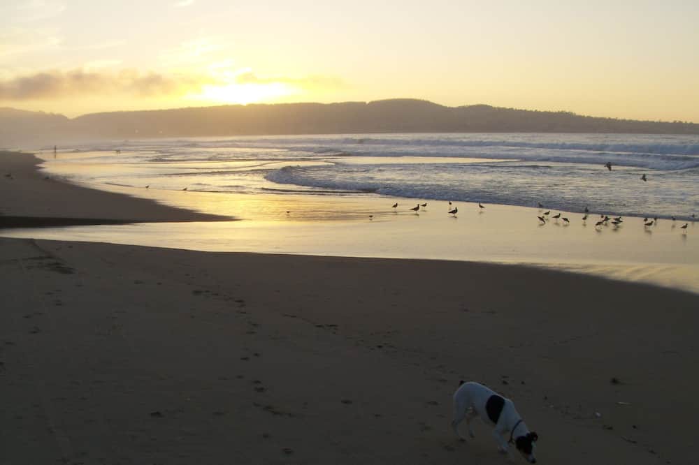 Photo of Outdoor in Downtown Monterey