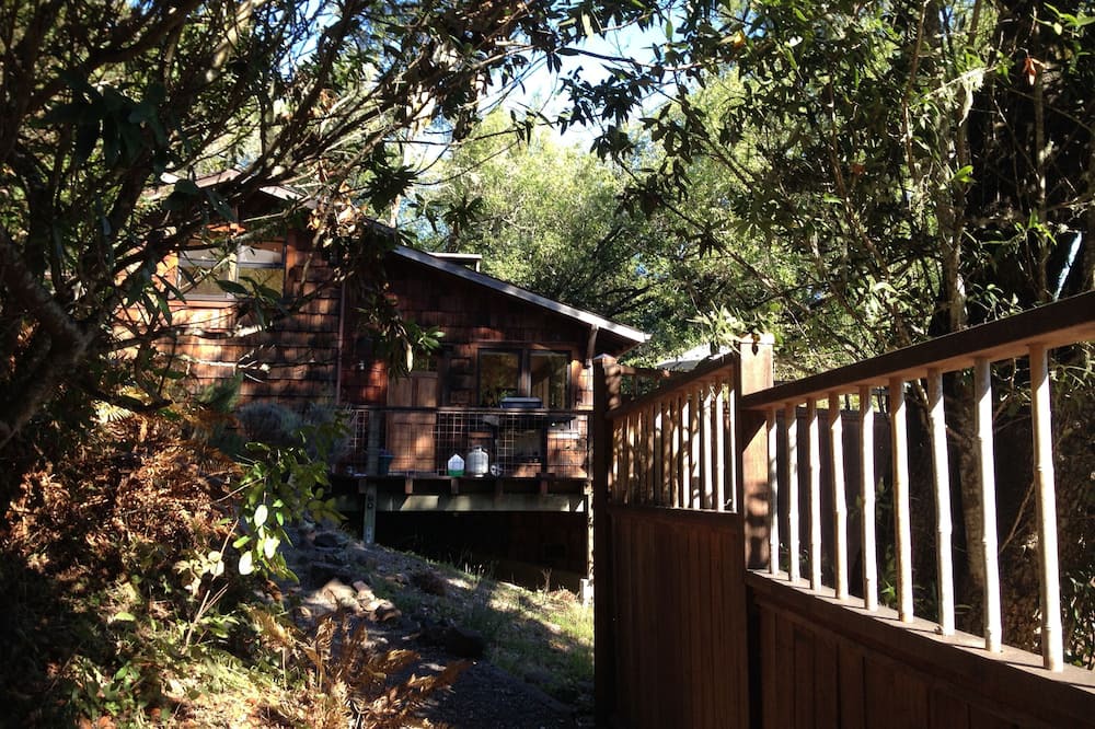 Photo of Others in Point Reyes Station