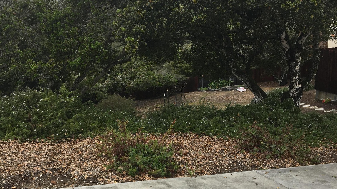 Photo of Outdoor in Prunedale