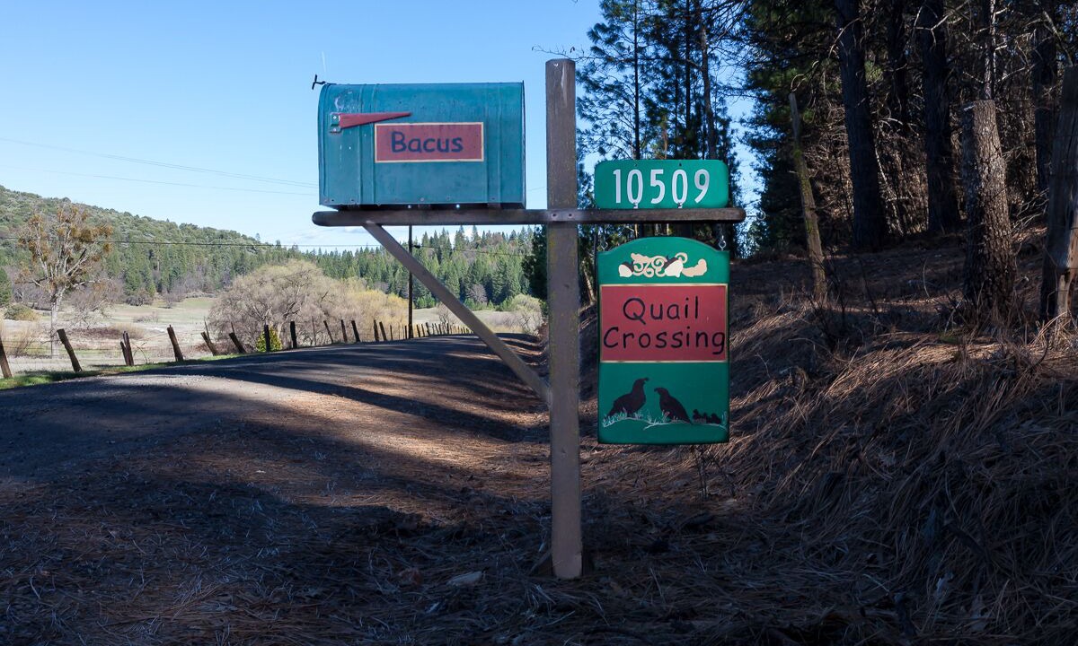Photo of Outdoor in Groveland