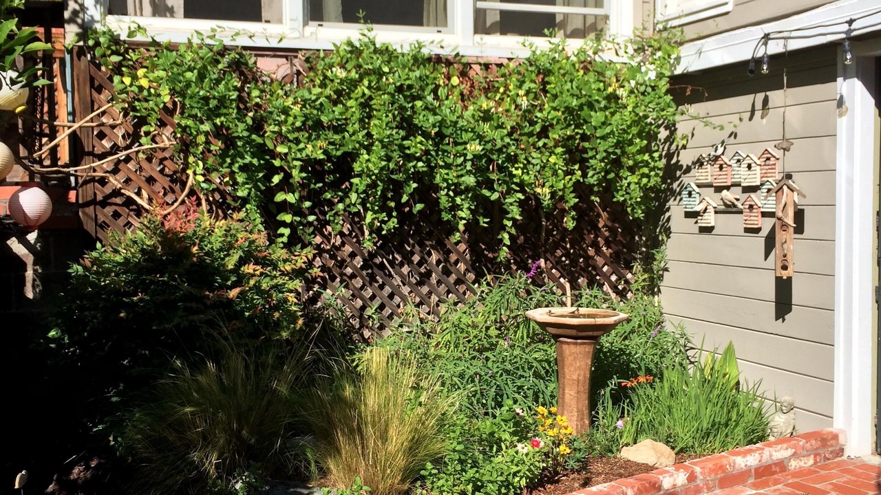 Photo of Outdoor in Fairfax