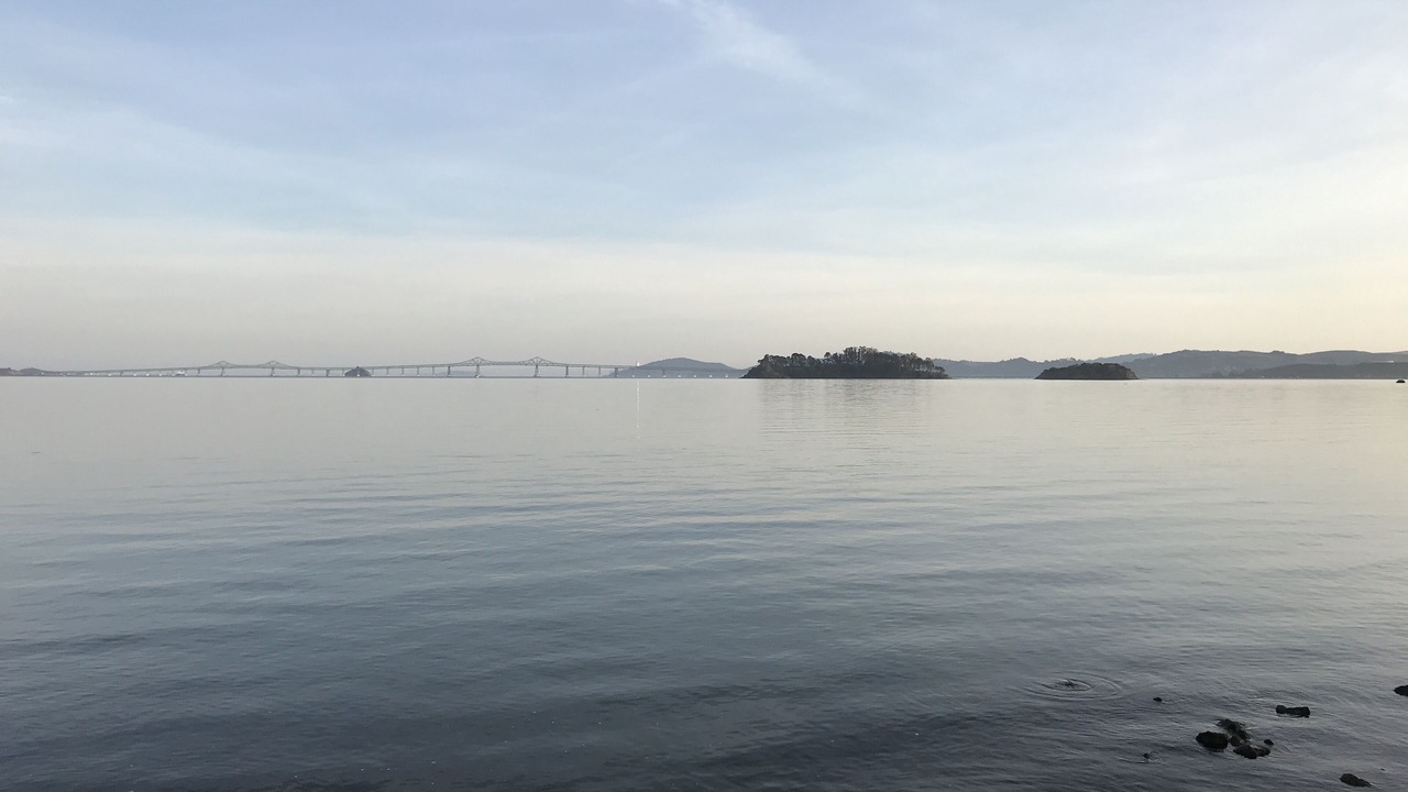 Photo of Others in San Rafael