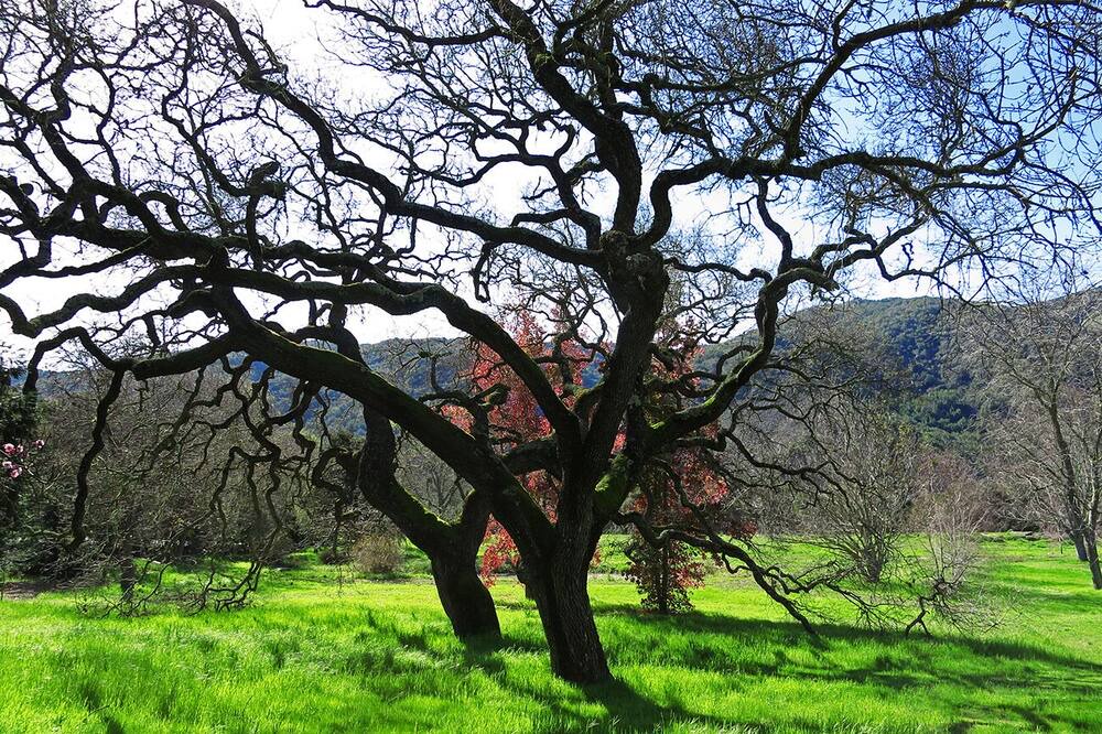 Photo of Others in Carmel Valley