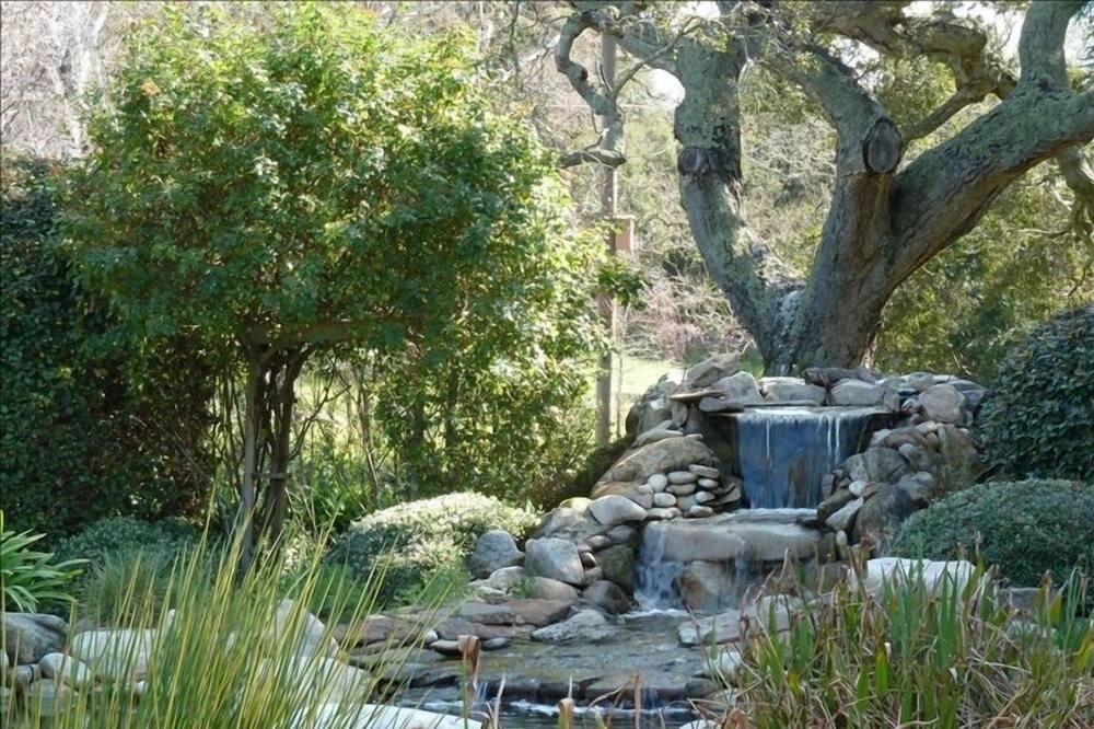 Photo of Others in Carmel Valley
