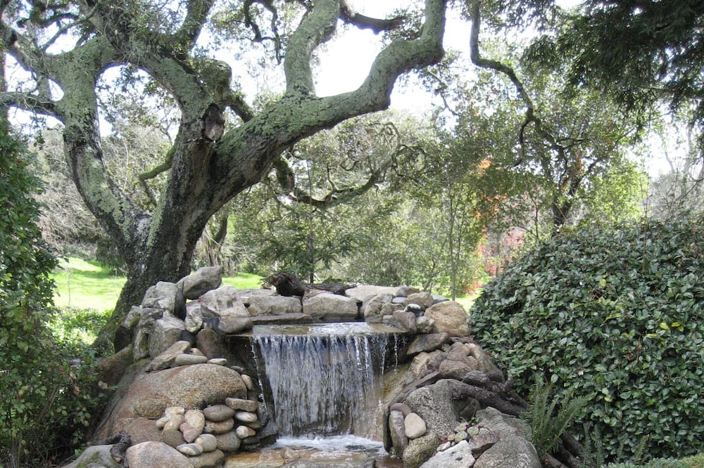 Photo of Others in Carmel Valley