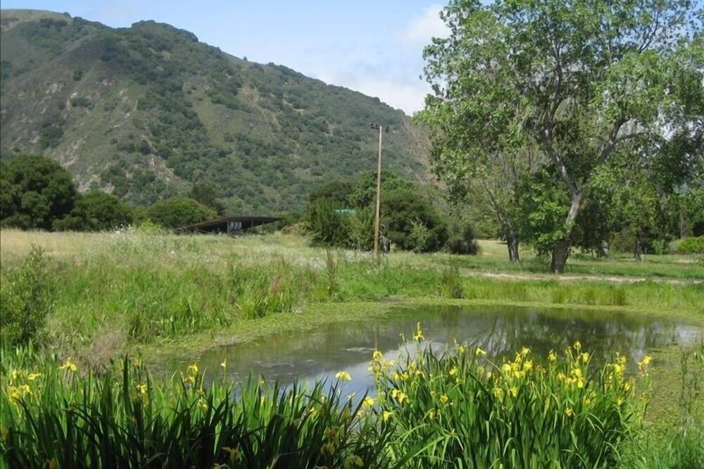 Photo of Others in Carmel Valley
