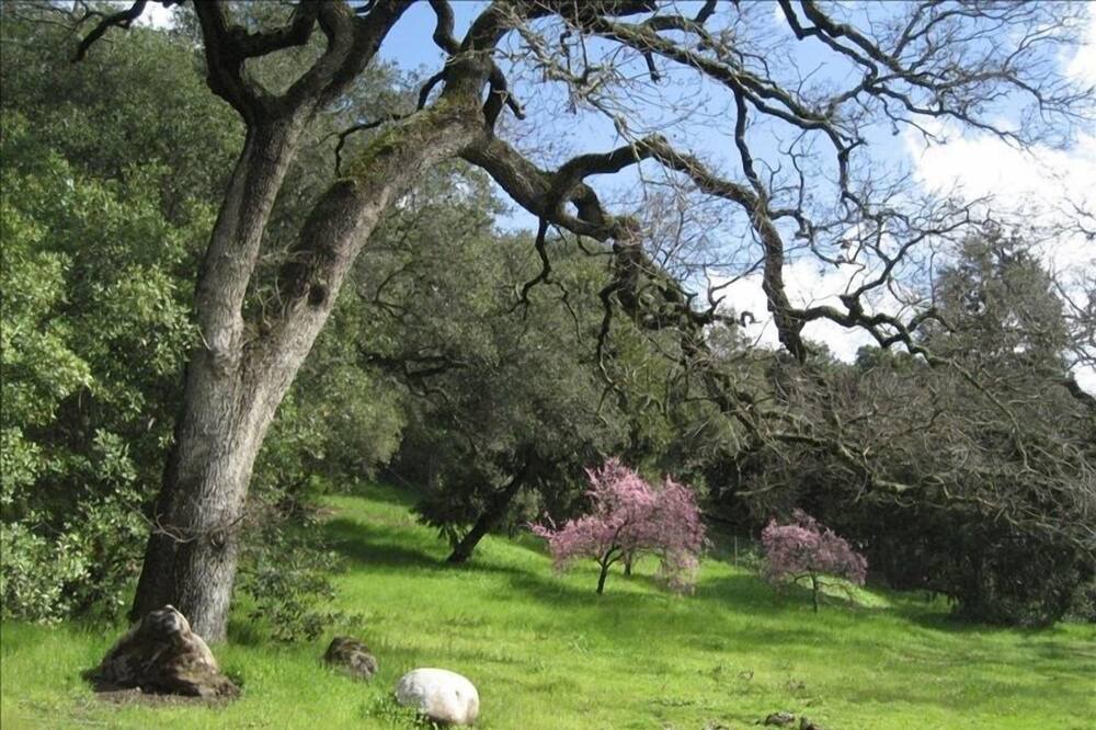 Photo of Outdoor in Carmel Valley