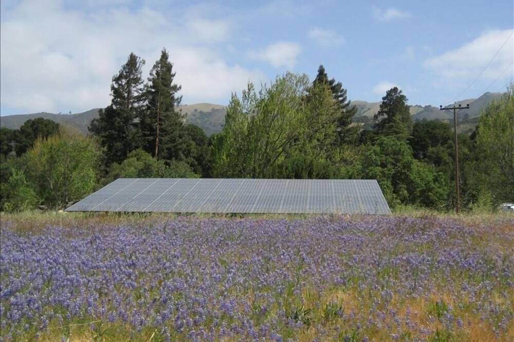 Photo of Others in Carmel Valley