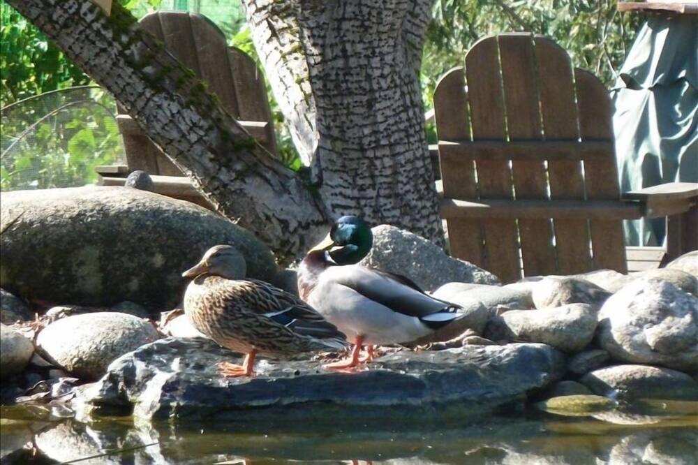 Photo of Others in Carmel Valley