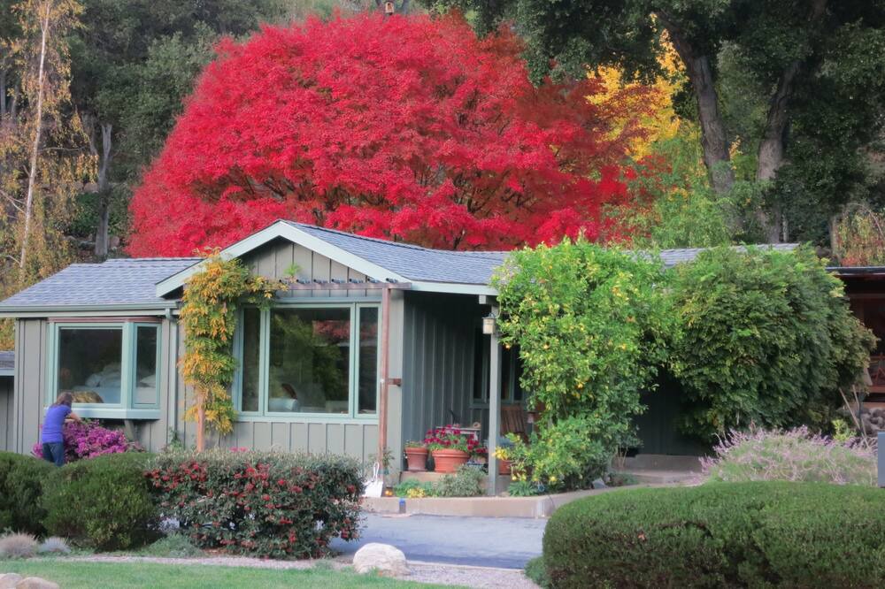 Photo of Others in Carmel Valley