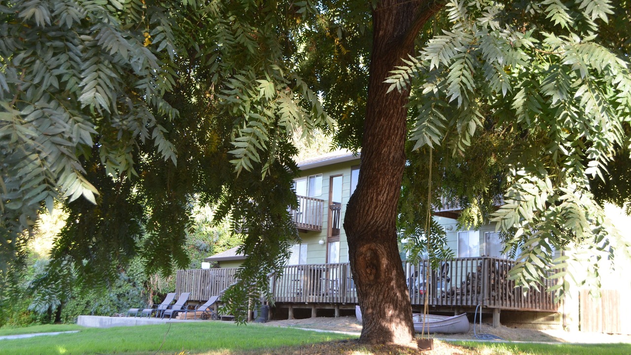 Photo of Outdoor in Lockeford