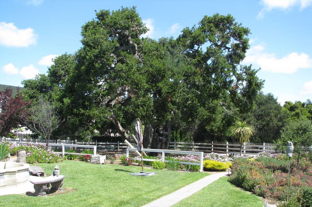 Photo of Outdoor in Corral de Tierra