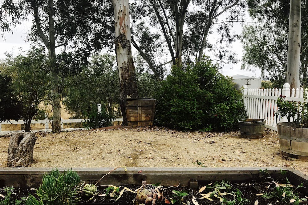 Photo of Outdoor in Templeton