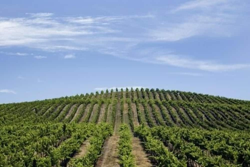 Photo of Others in Napa