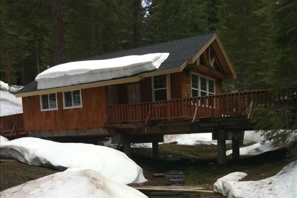 Photo of Outdoor in Fish Camp