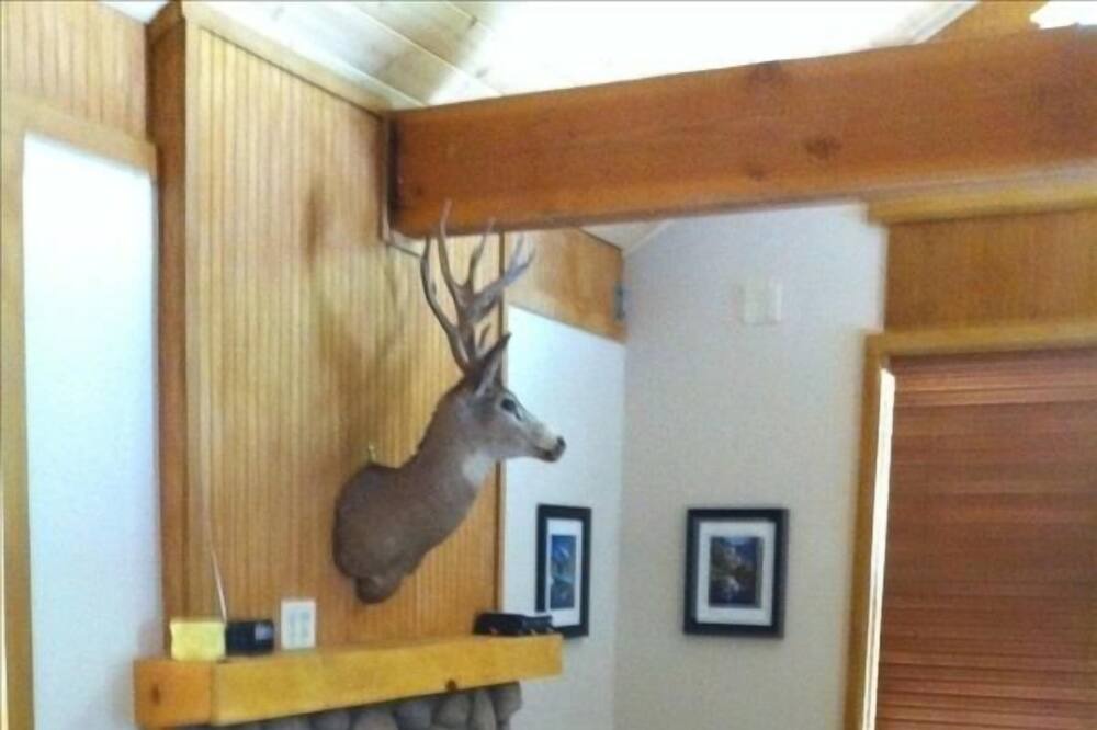 Photo of Livingroom in Fish Camp