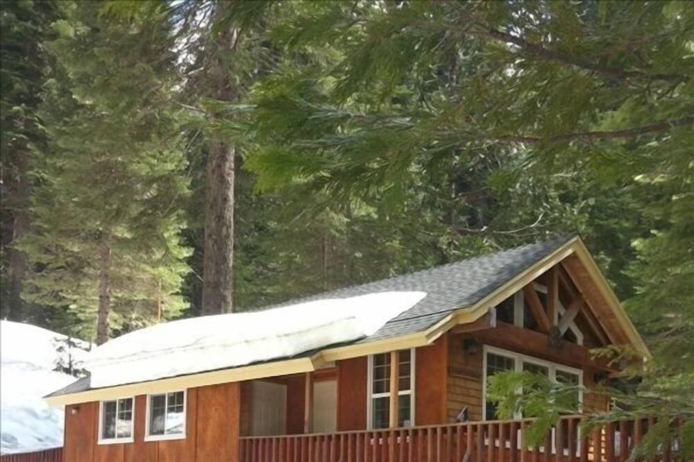 Photo of Outdoor in Fish Camp