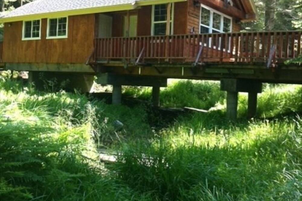 Photo of Outdoor in Fish Camp