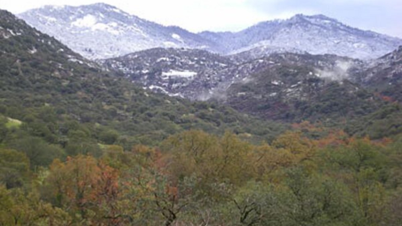Photo of Others in Three Rivers