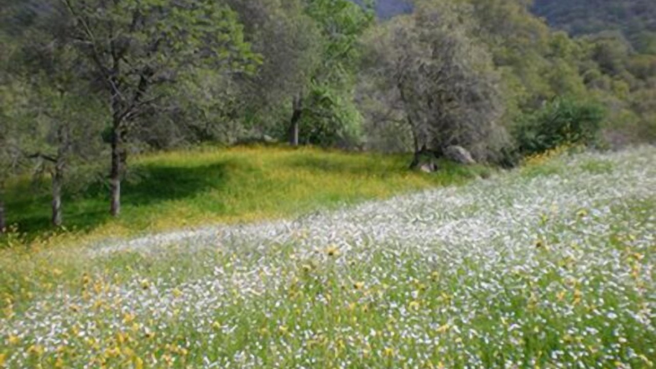 Photo of Outdoor in Three Rivers