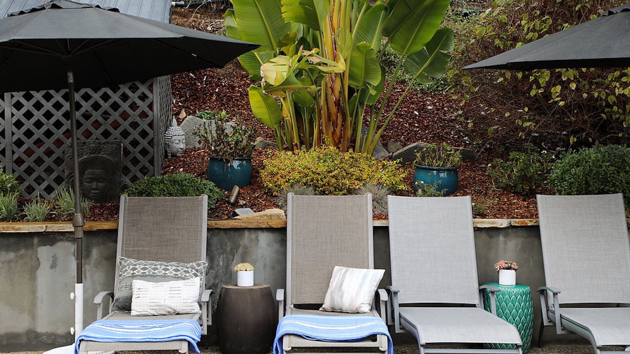Photo of Outdoor in San Anselmo