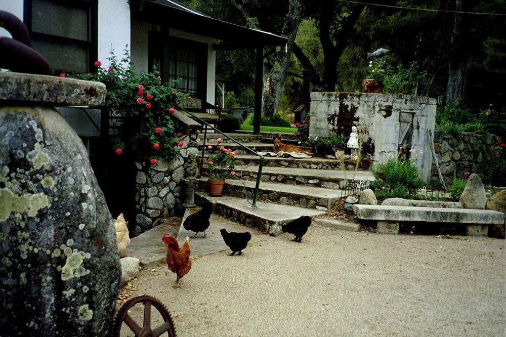 Photo of Others in Carmel Valley