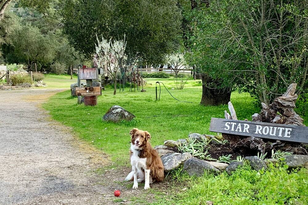 Photo of Others in Carmel Valley