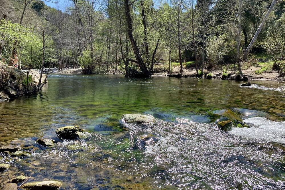 Photo of Others in Carmel Valley