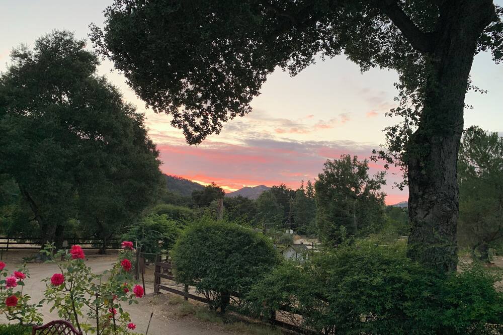 Photo of Others in Carmel Valley