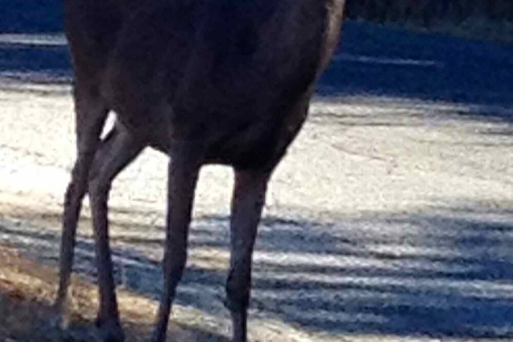 Photo of Others in Carmel Valley