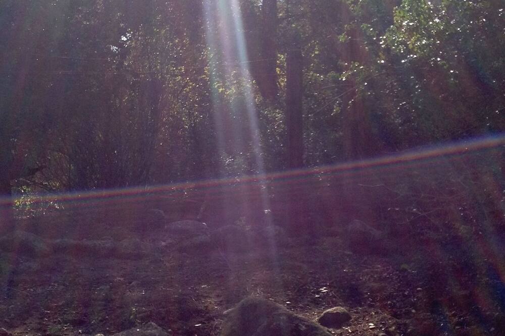 Photo of Others in Carmel Valley