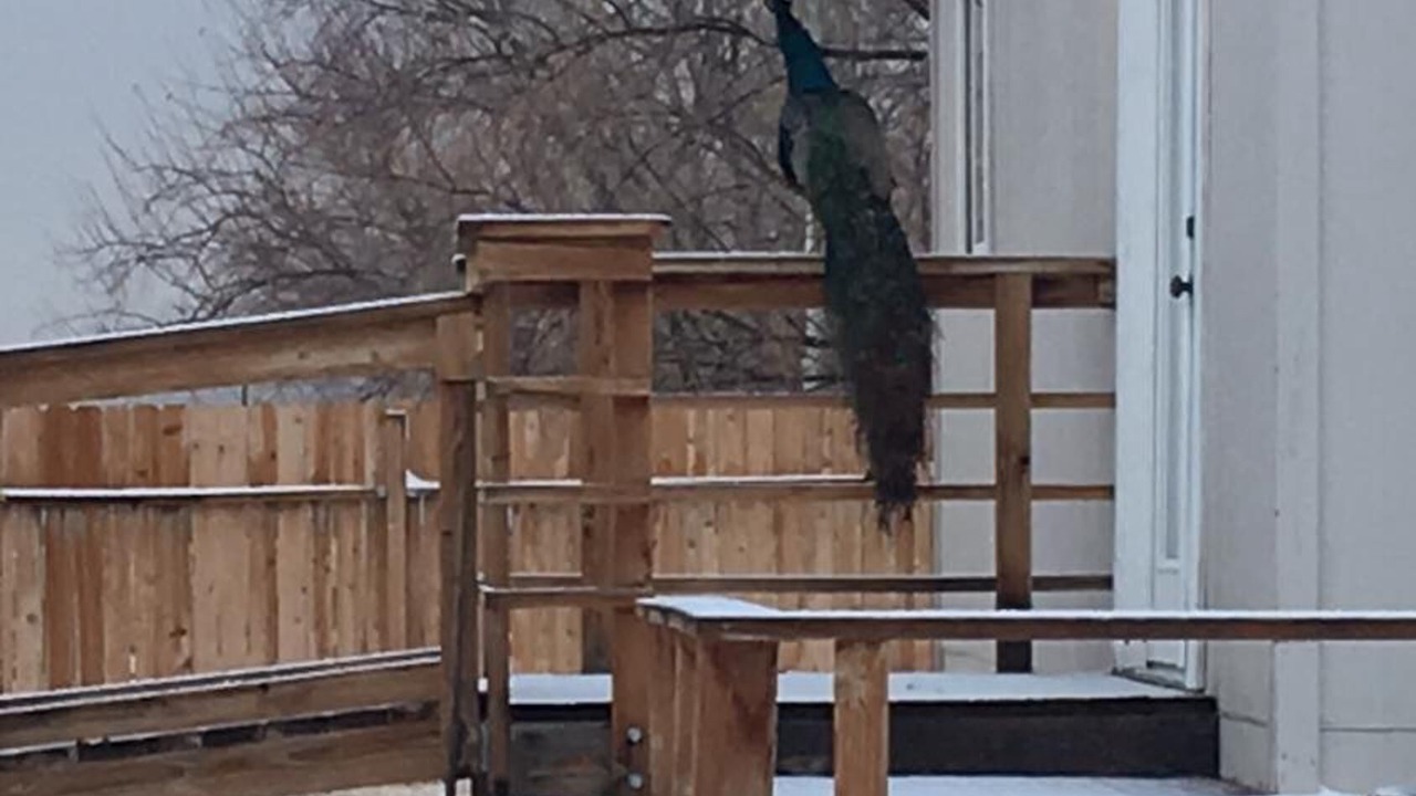 Photo of Outdoor in Beatty