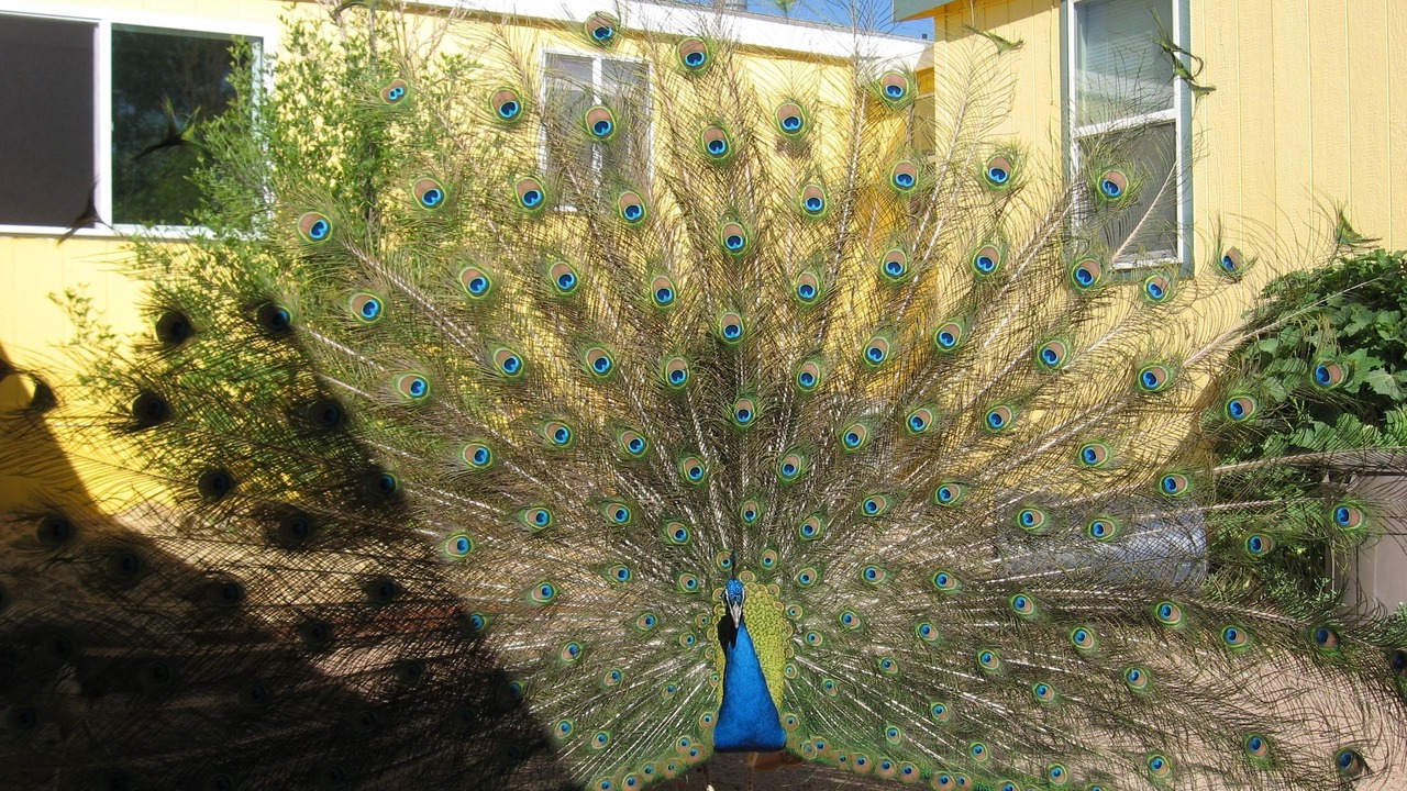 Photo of Outdoor in Beatty