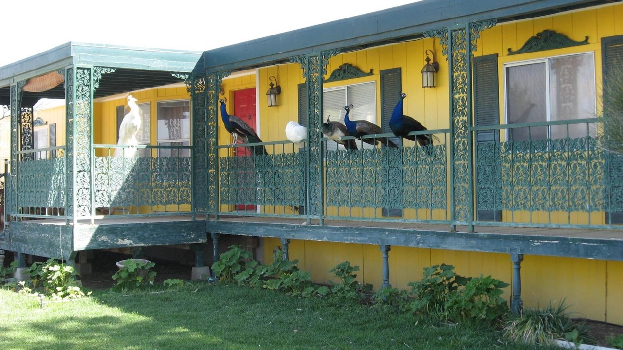 Photo of Outdoor in Beatty
