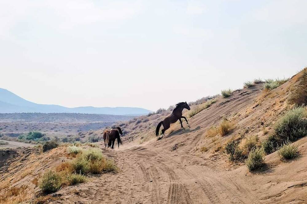 Photo of Outdoor in Fernley