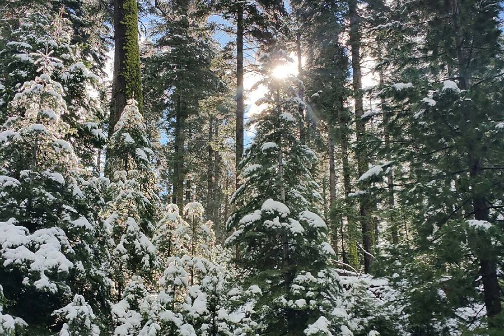 Photo of Outdoor in Cold Springs