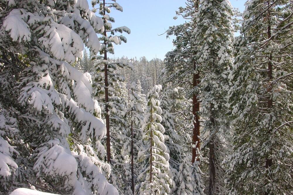 Photo of Others in Cold Springs