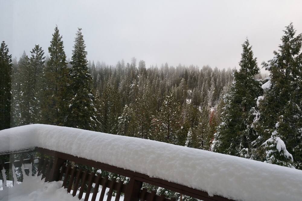 Photo of Others in Cold Springs