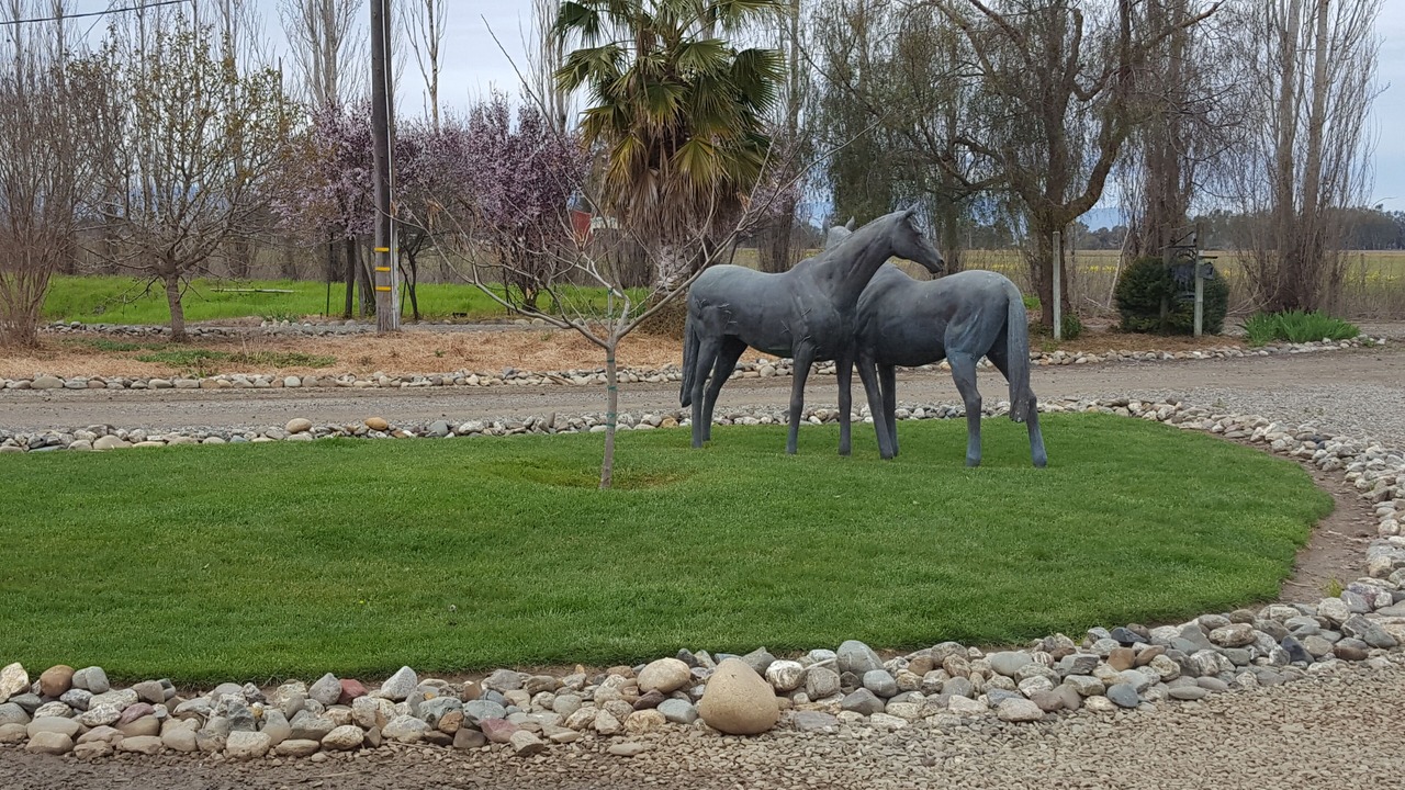 Photo of Outdoor in Davis