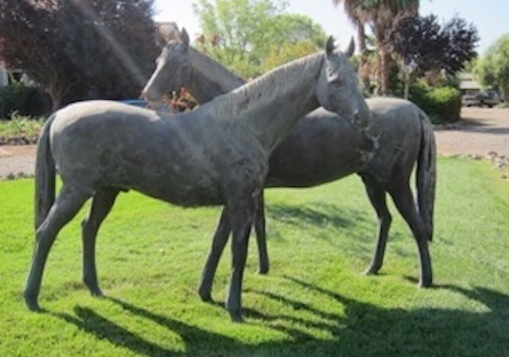 Photo of Outdoor in Davis