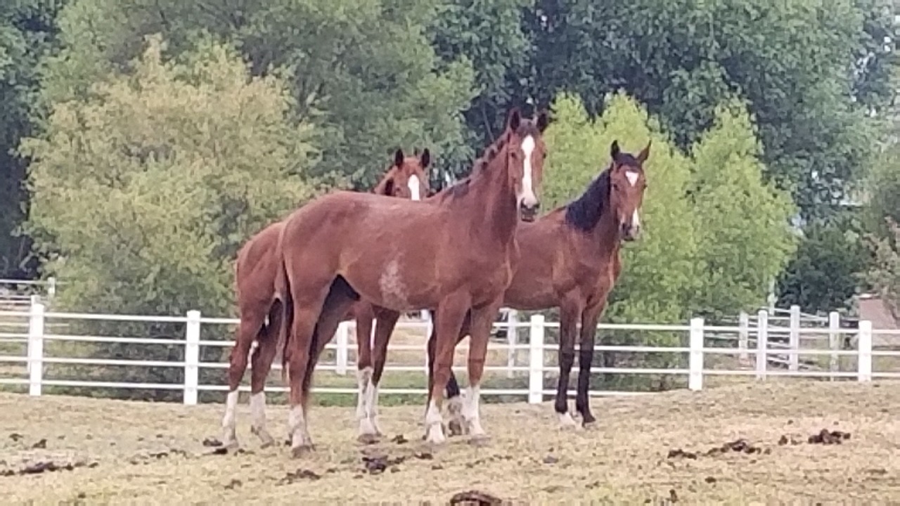 Photo of Others in Davis