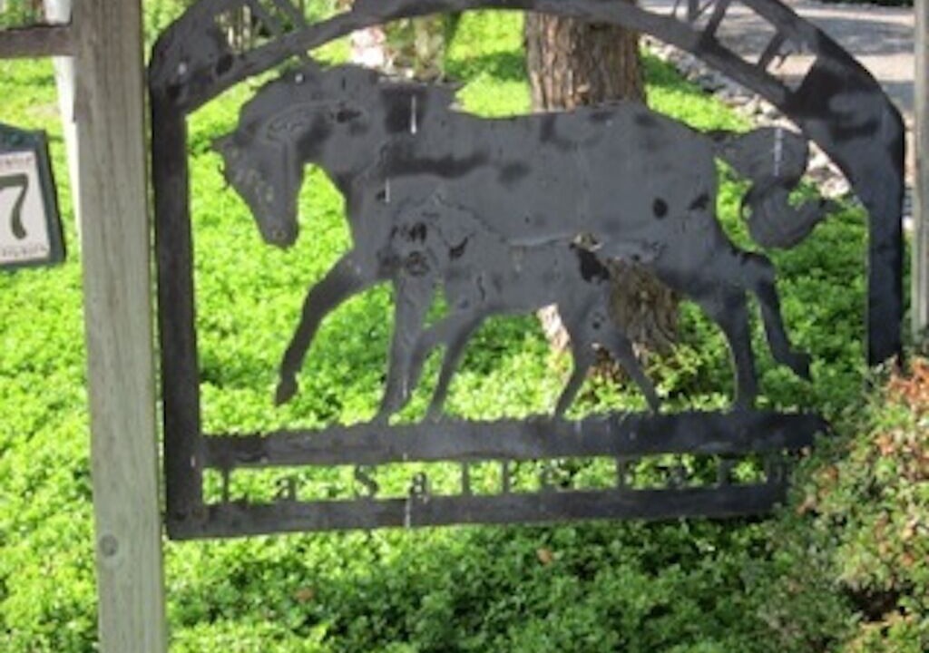 Photo of Outdoor in Davis