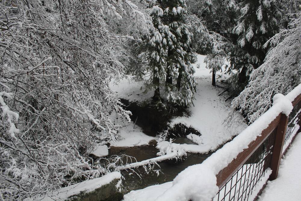 Photo of Outdoor in Mono Vista