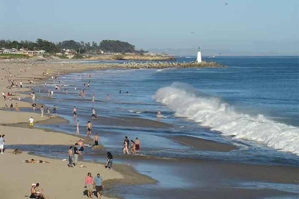 Photo of Others in Seabright