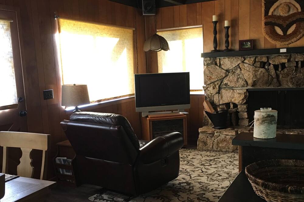 Photo of Livingroom in Homewood
