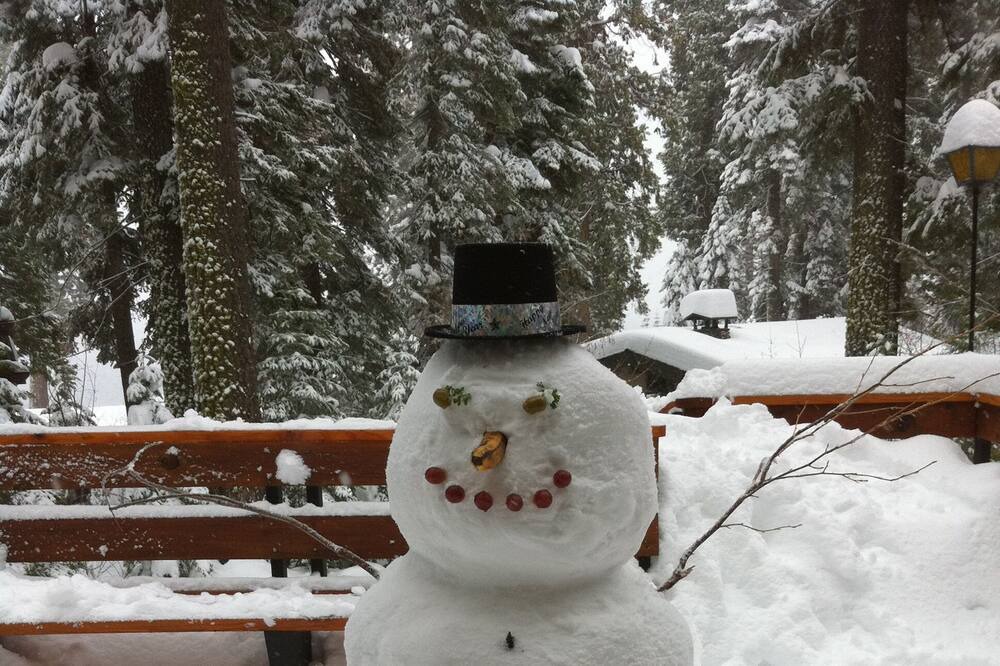 Photo of Outdoor in Homewood
