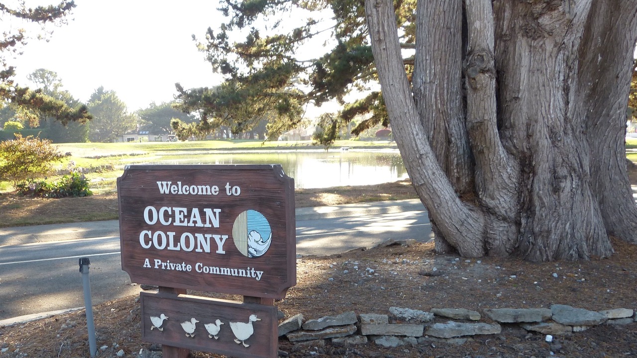 Photo of Outdoor in Half Moon Bay